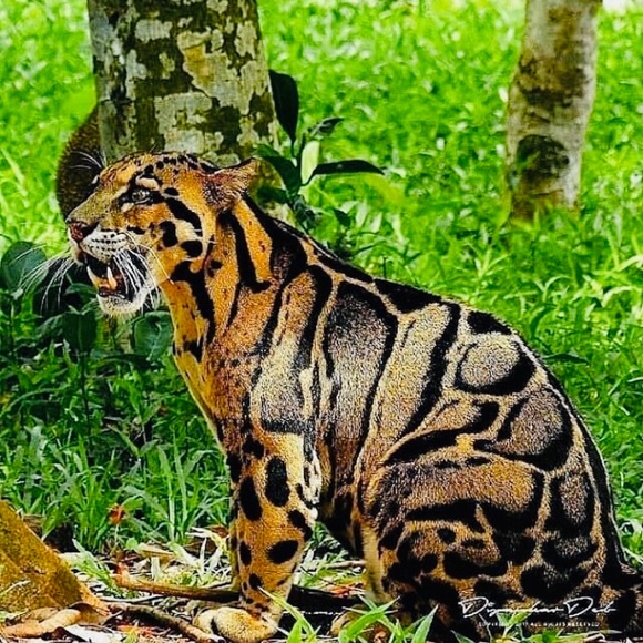 Meet your Posher, J - Picture 1 of 1